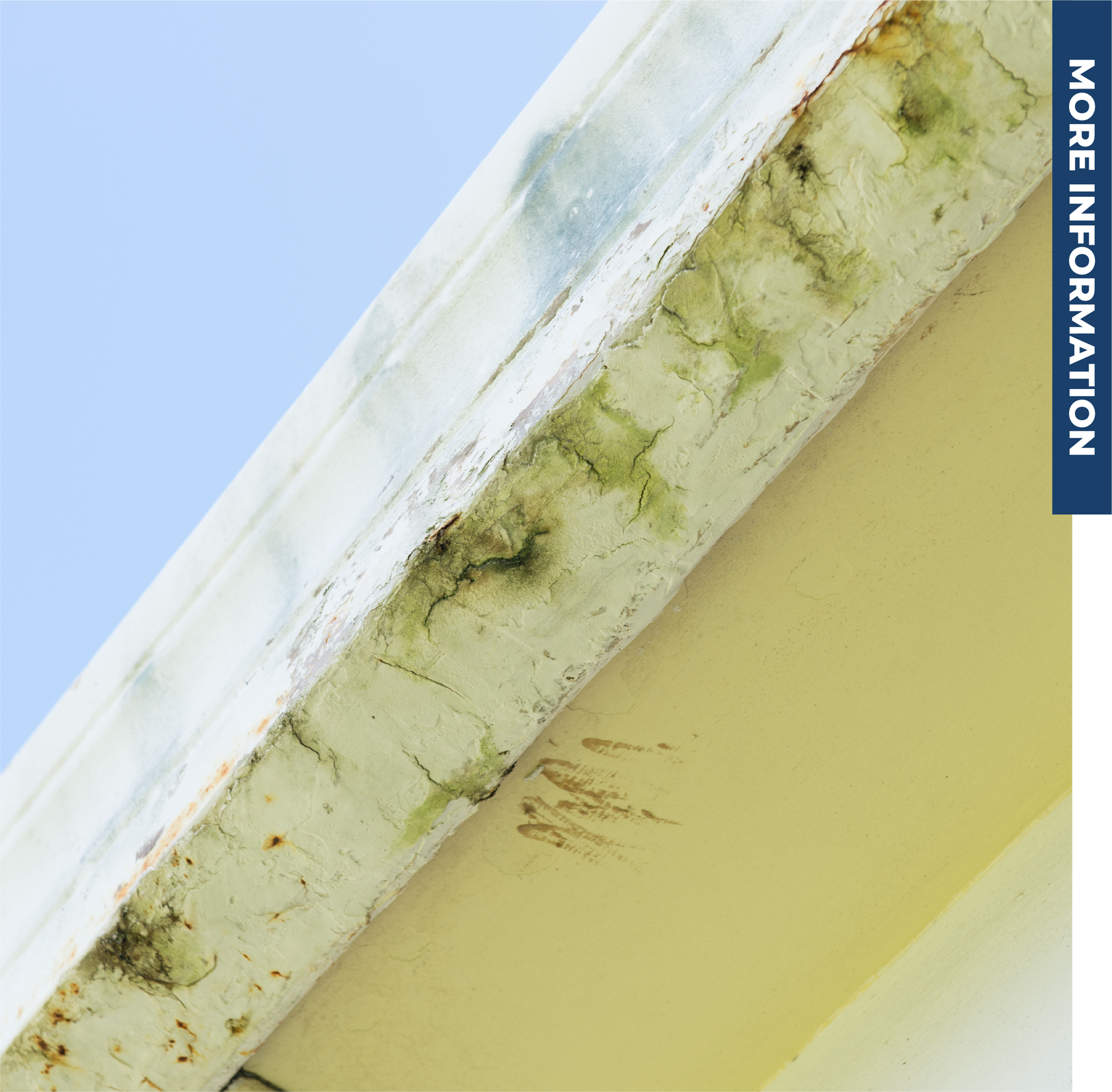 A picture of a moldy wall with the words 