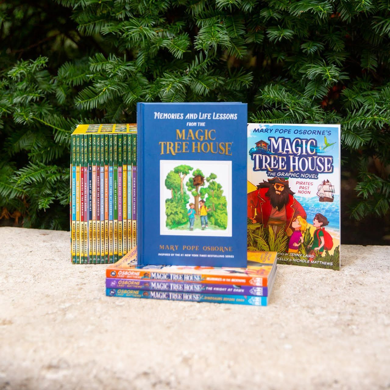 A stack of magic tree house books