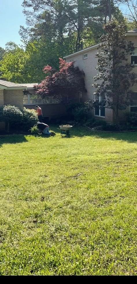A grassy front yard with a two-story house in the background, surrounded by trees and bushes.