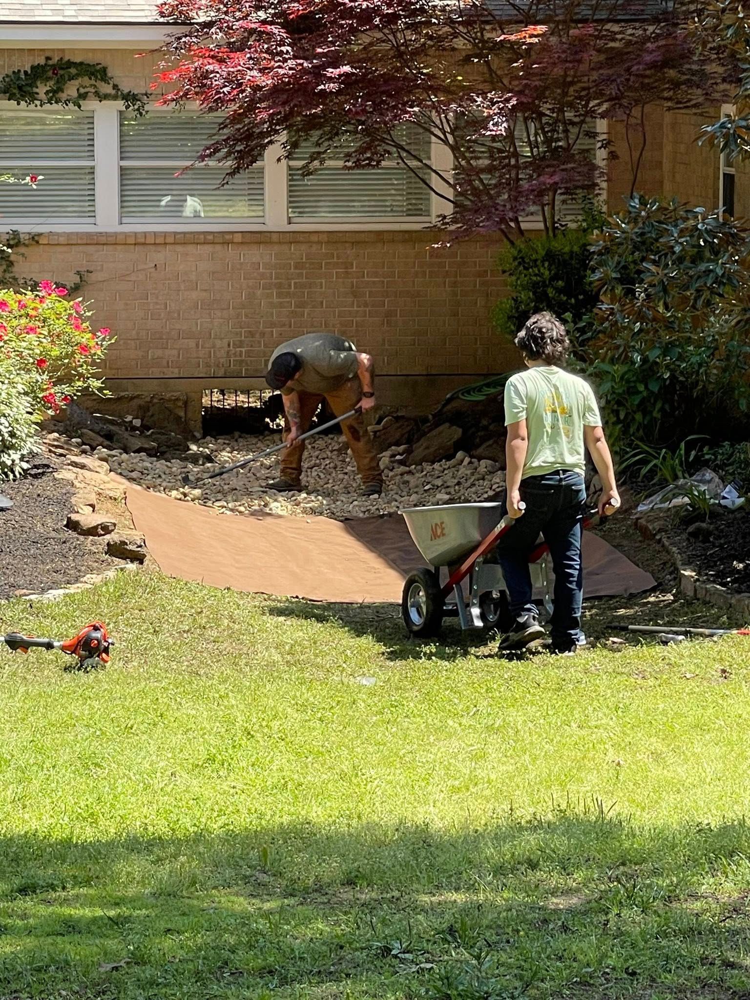 A man is standing next to a wheelbarrow in a yard.
