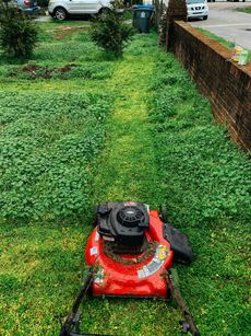 A red lawn mower is cutting a lush green lawn.