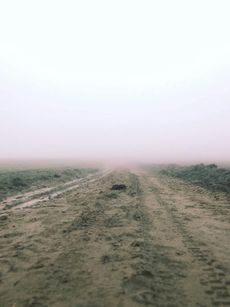A dirt road is covered in fog on a foggy day.