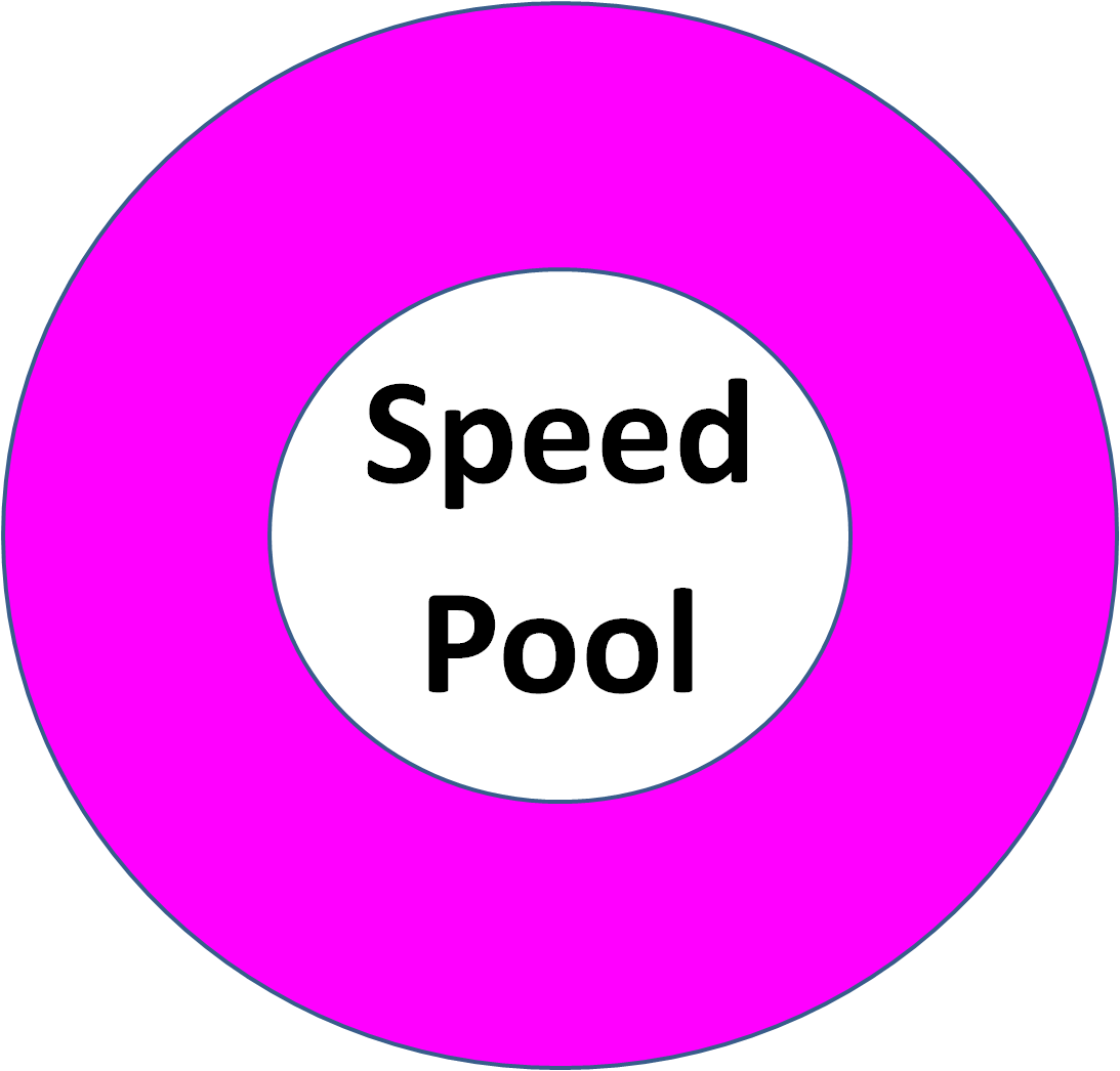 Speed  Pool Competition
