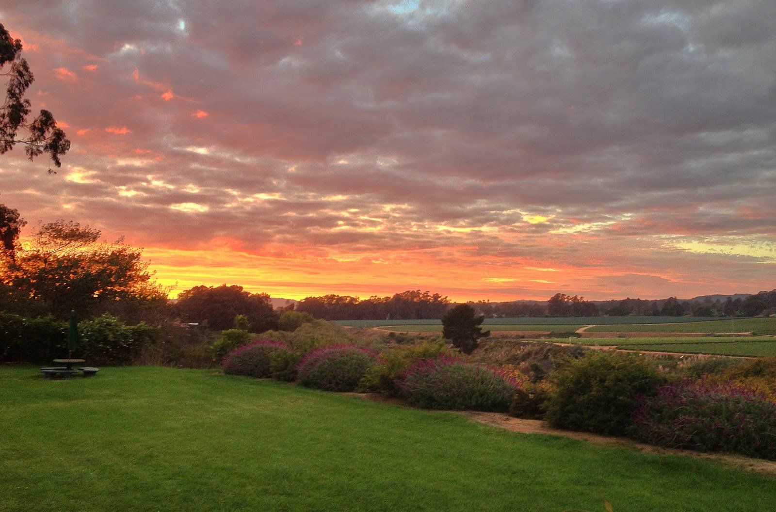 A sunset over a field with a picnic table in the foreground.