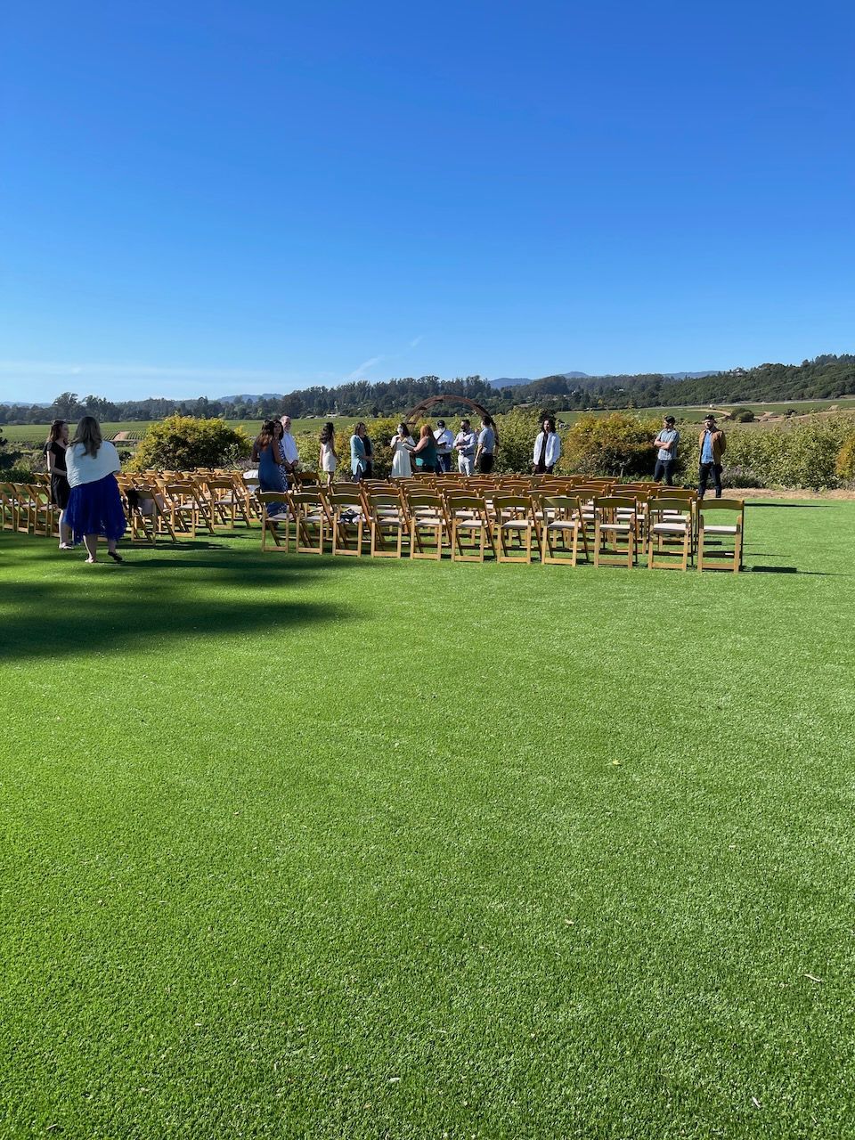 A row of wooden chairs are lined up on a lush green field.