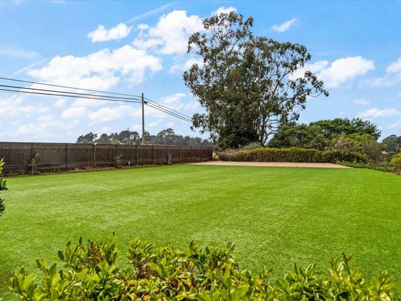 A large lush green field with a tree in the background