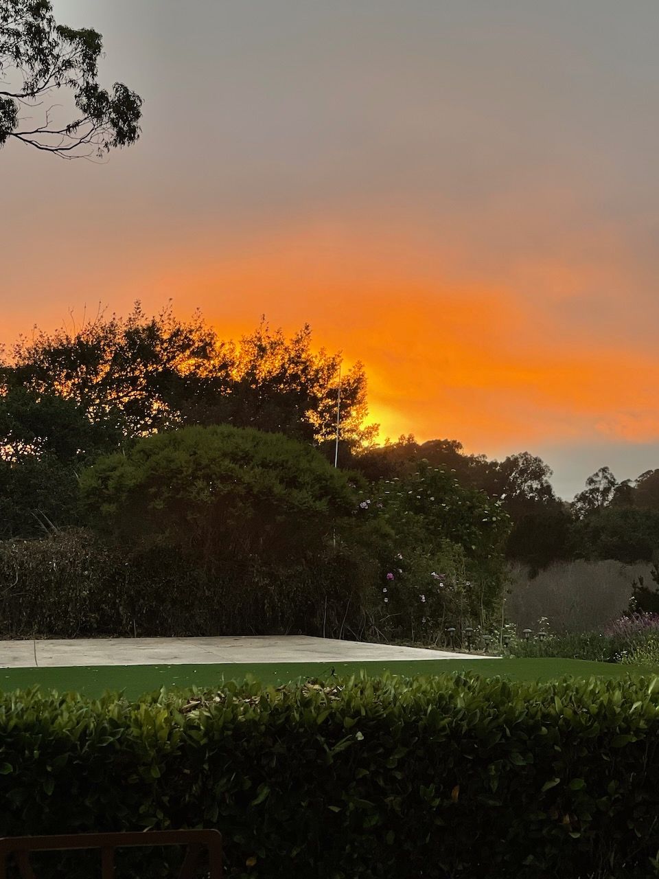 A sunset over a lush green field with trees in the foreground