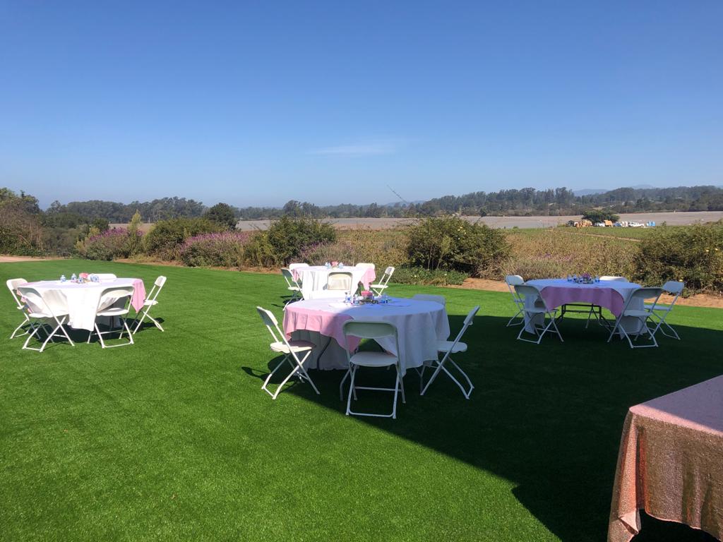 A lawn with tables and chairs set up for a party.