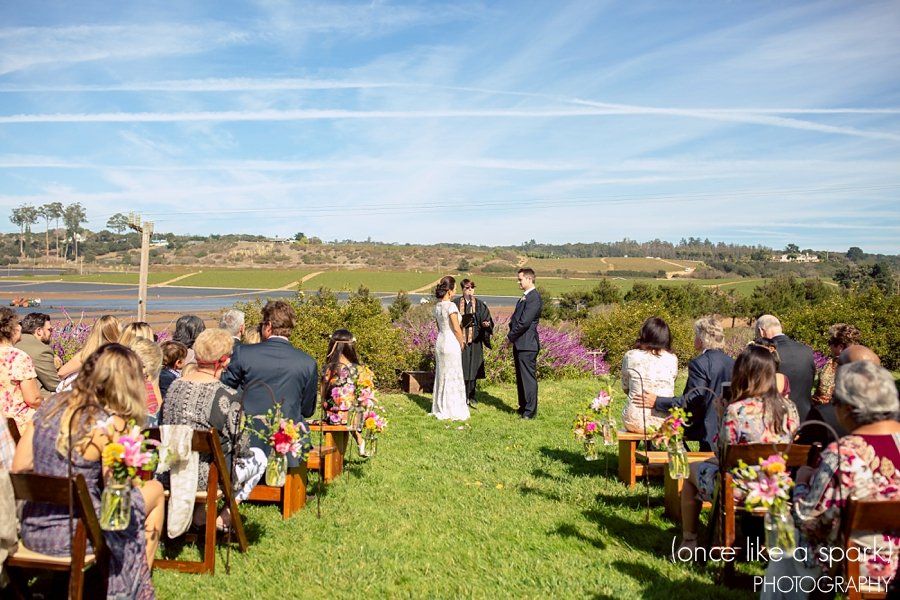 A bride and groom are getting married in a field with a lake in the background.