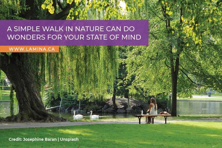 A simple walk in nature can do wonders for your state of mind