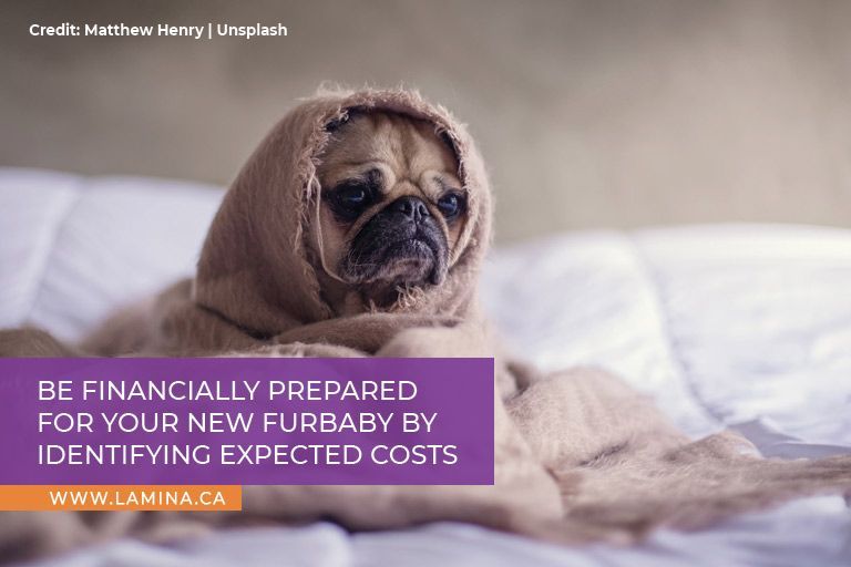 Be financially prepared for your new furbaby by identifying expected costs