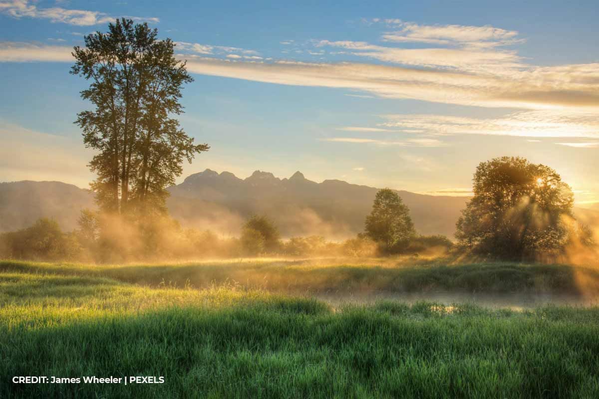 Go-Storm-Watching-on-the-Wild-West-Coast