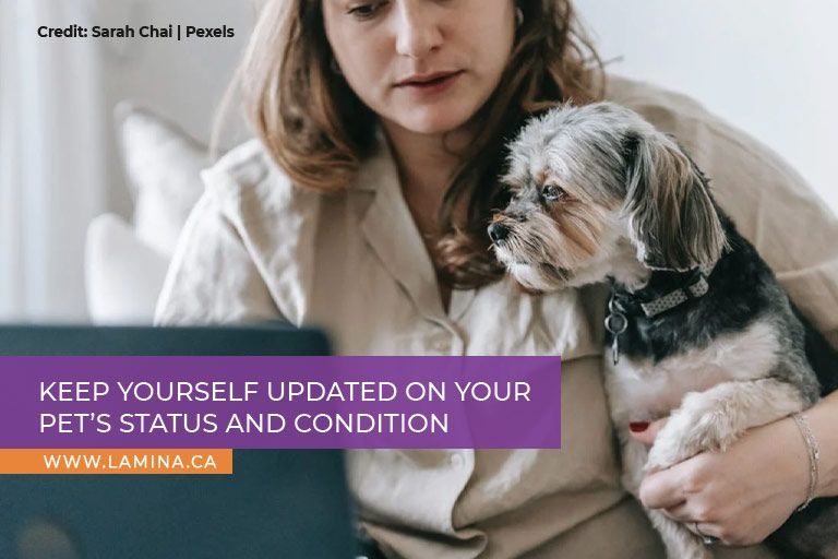 Keep yourself updated on your pet’s status and condition