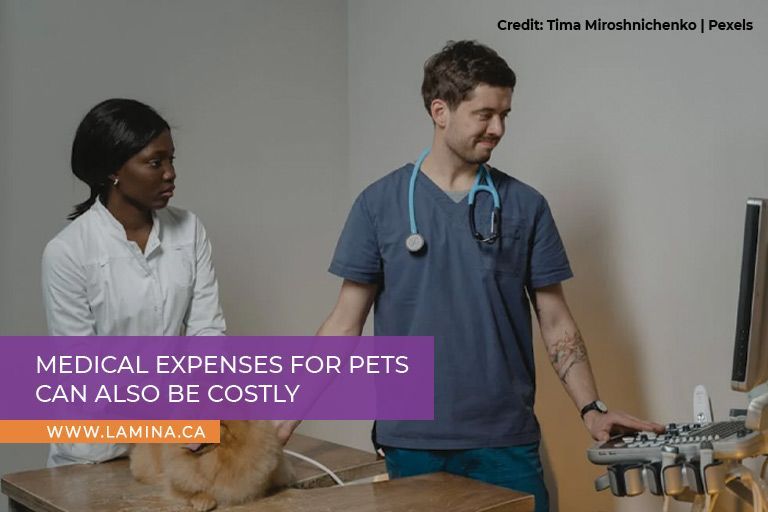  Medical expenses for pets can also be costly