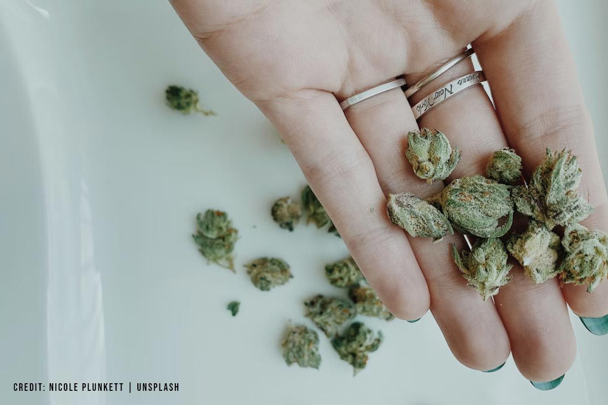 Patient-Access-to-Medical-Cannabis