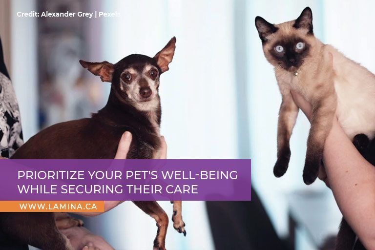 Prioritize your pet's well-being while securing their care