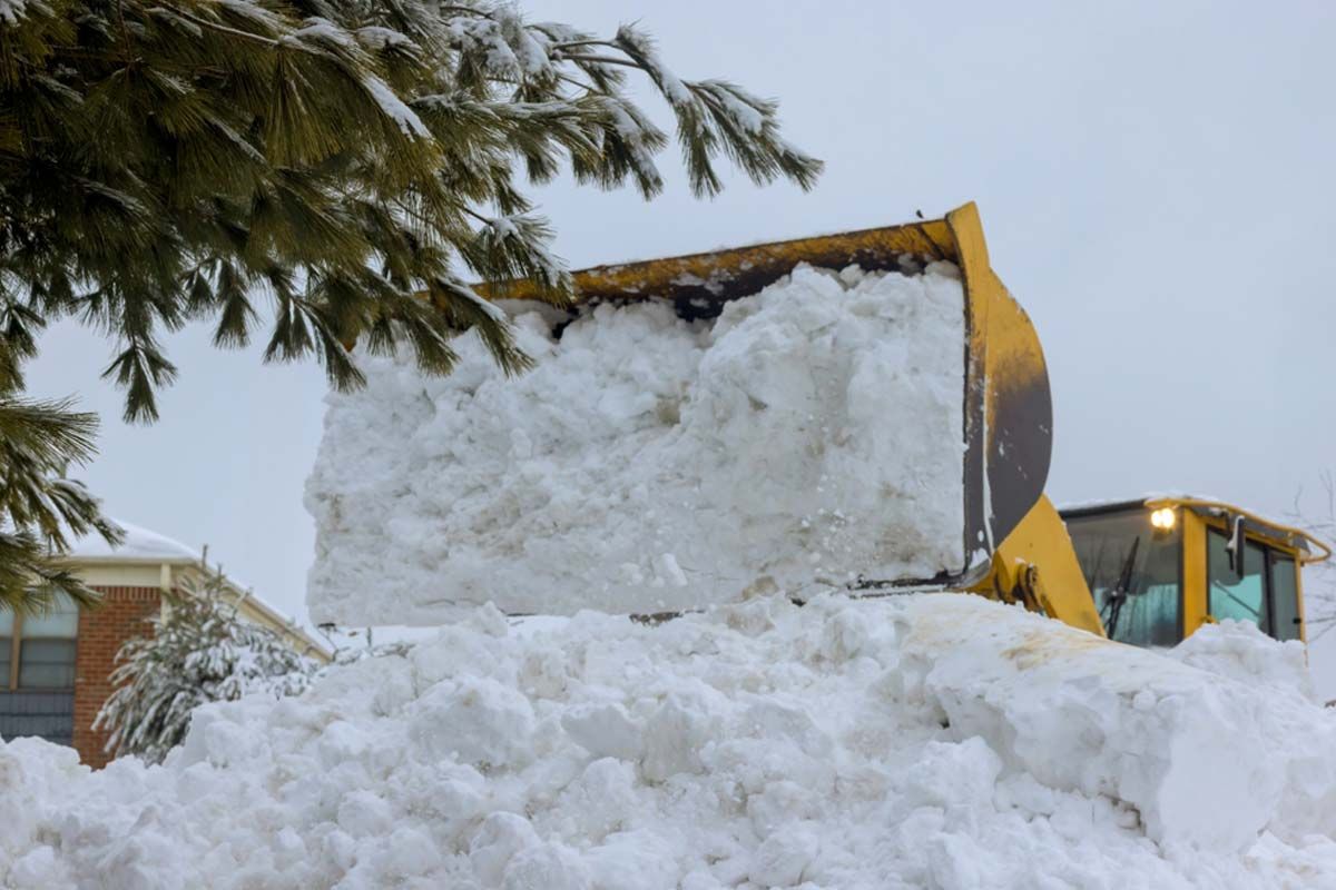 Professional landscapers ensure quick, safe recovery from blizzard damage