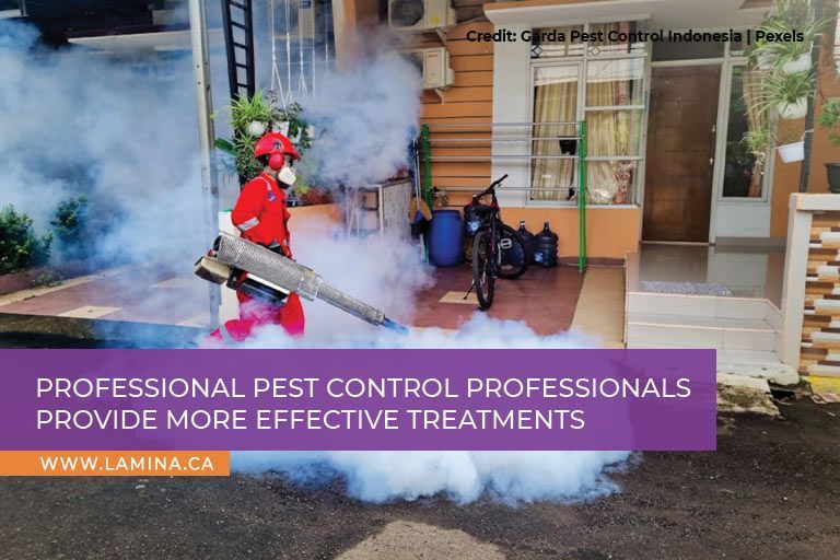 Professional pest control professionals provide more effective treatments