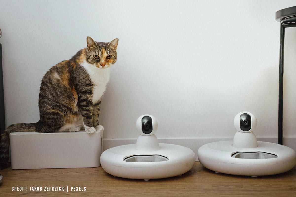 Step-5-Expanding-Your-Smart-Home-Ecosystem