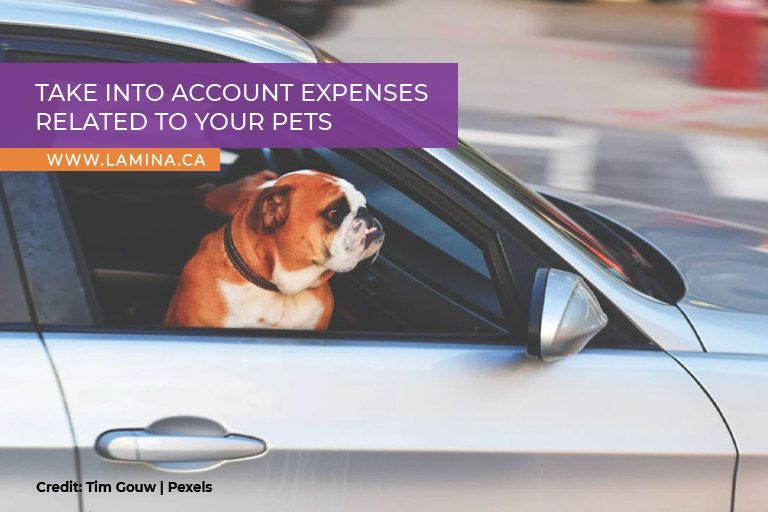 Take into account expenses related to your pets