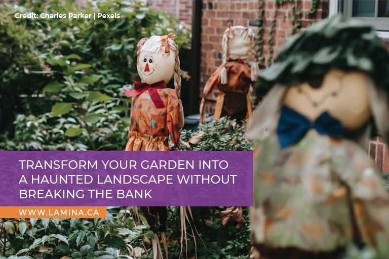 Transform your garden into a haunted landscape without breaking the bank