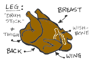 Roasted turkey labeled with parts: leg (drumstick + thigh), breast, back, wishbone, and wing.