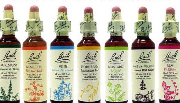 Six Bach flower remedies bottles lined up. Each with a different color label and a plant illustration.
