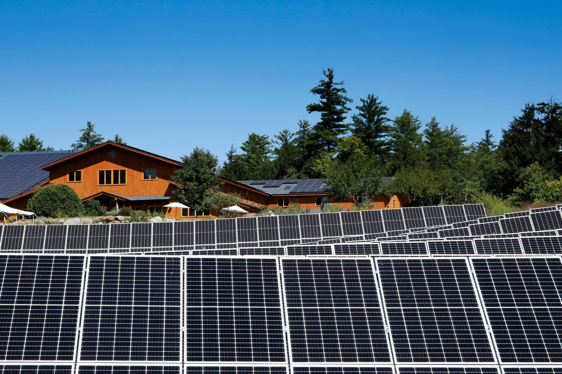 Solar panels in foreground with a house and trees in the background on a sunny day.