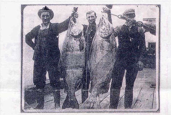 Four men holding up large fish they caught. They are standing outside in front of a building.