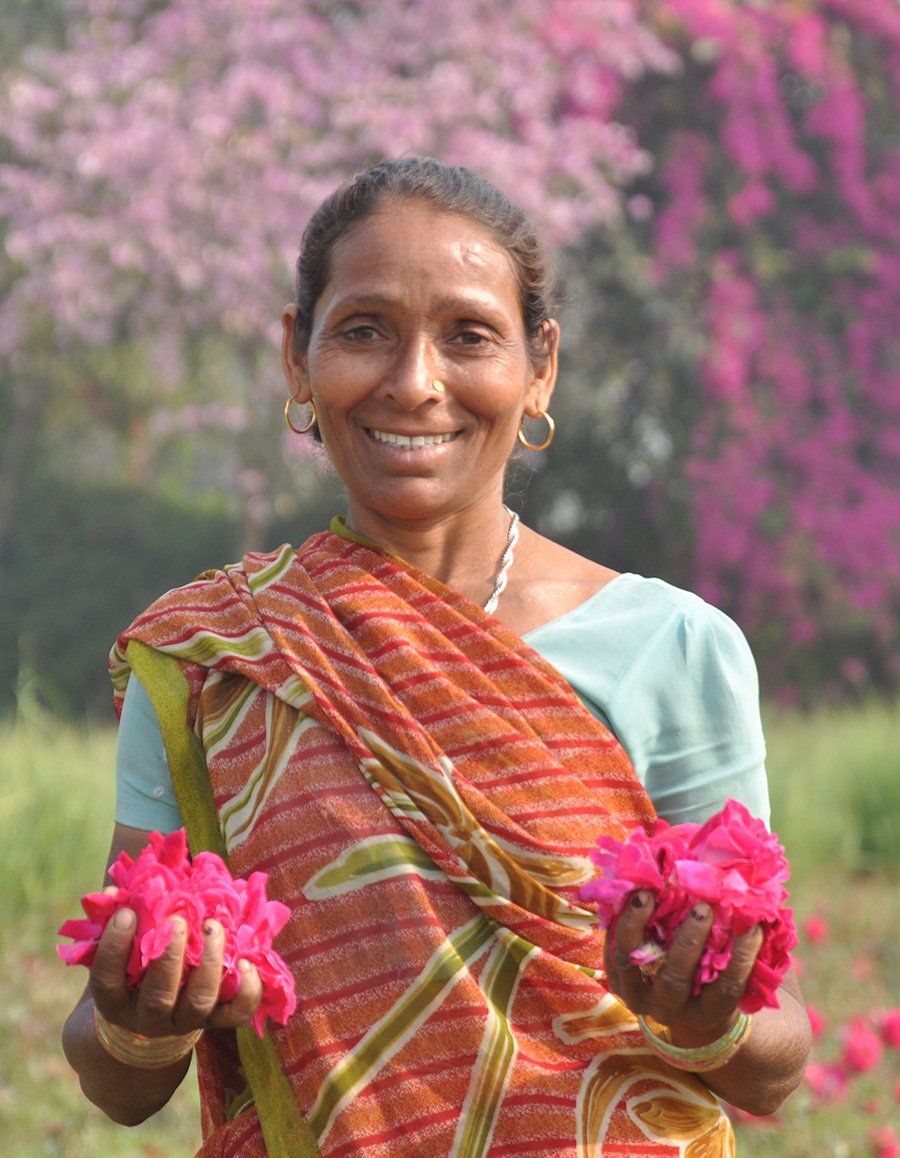 Smiling woman in a sari holds two pink rose bouquets. Background includes pink flowering trees, possibly in a garden.