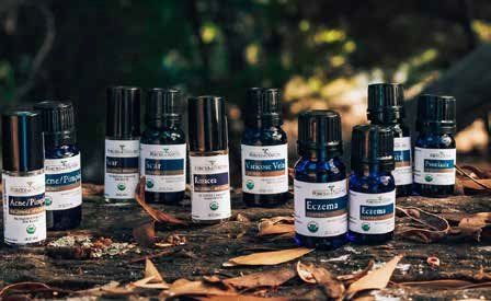 Bottles of essential oils with dark blue labels are arranged on a wooden surface in a natural setting.