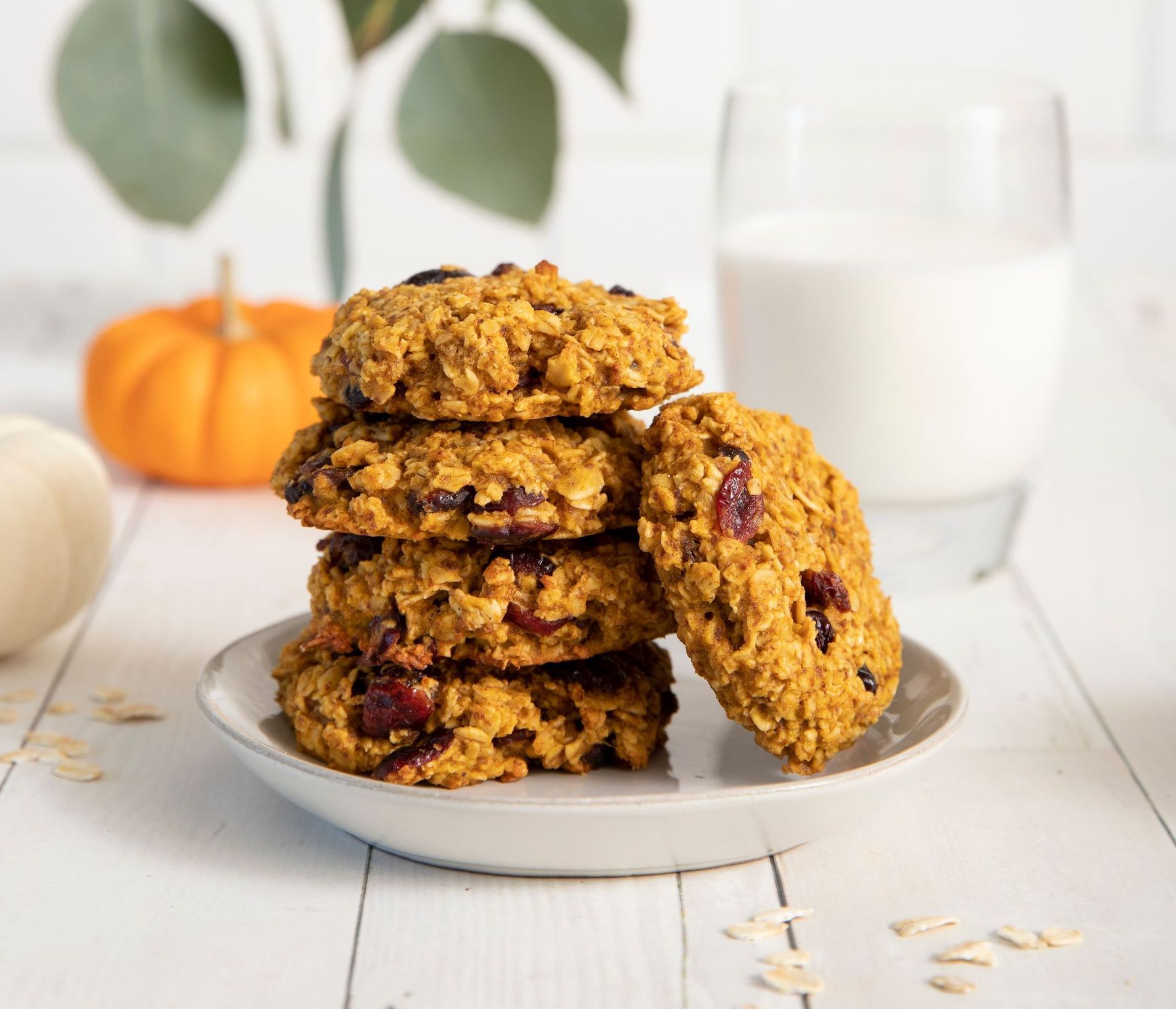 Stack of pumpkin oatmeal cookies with cranberries on a plate, glass of milk, pumpkins in background.