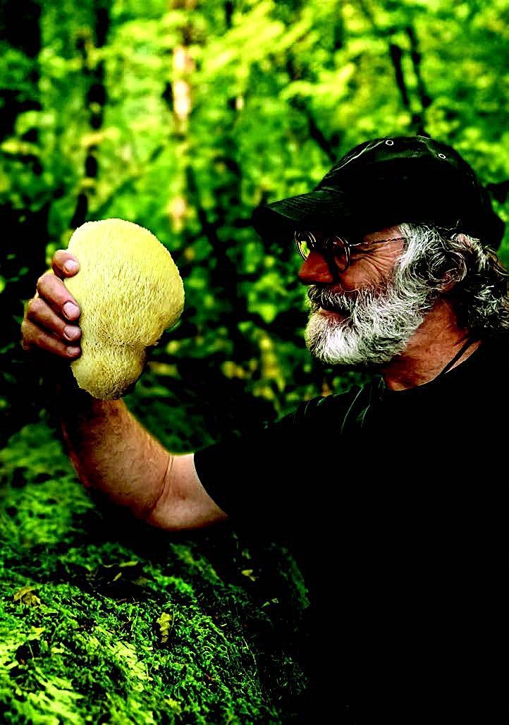 Man holding a large, pale, puffball mushroom in a green forest. He has a white beard and is looking at the mushroom.