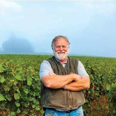 Smiling man with a white beard and vest stands in a vineyard with arms crossed. Cloudy sky in the background.