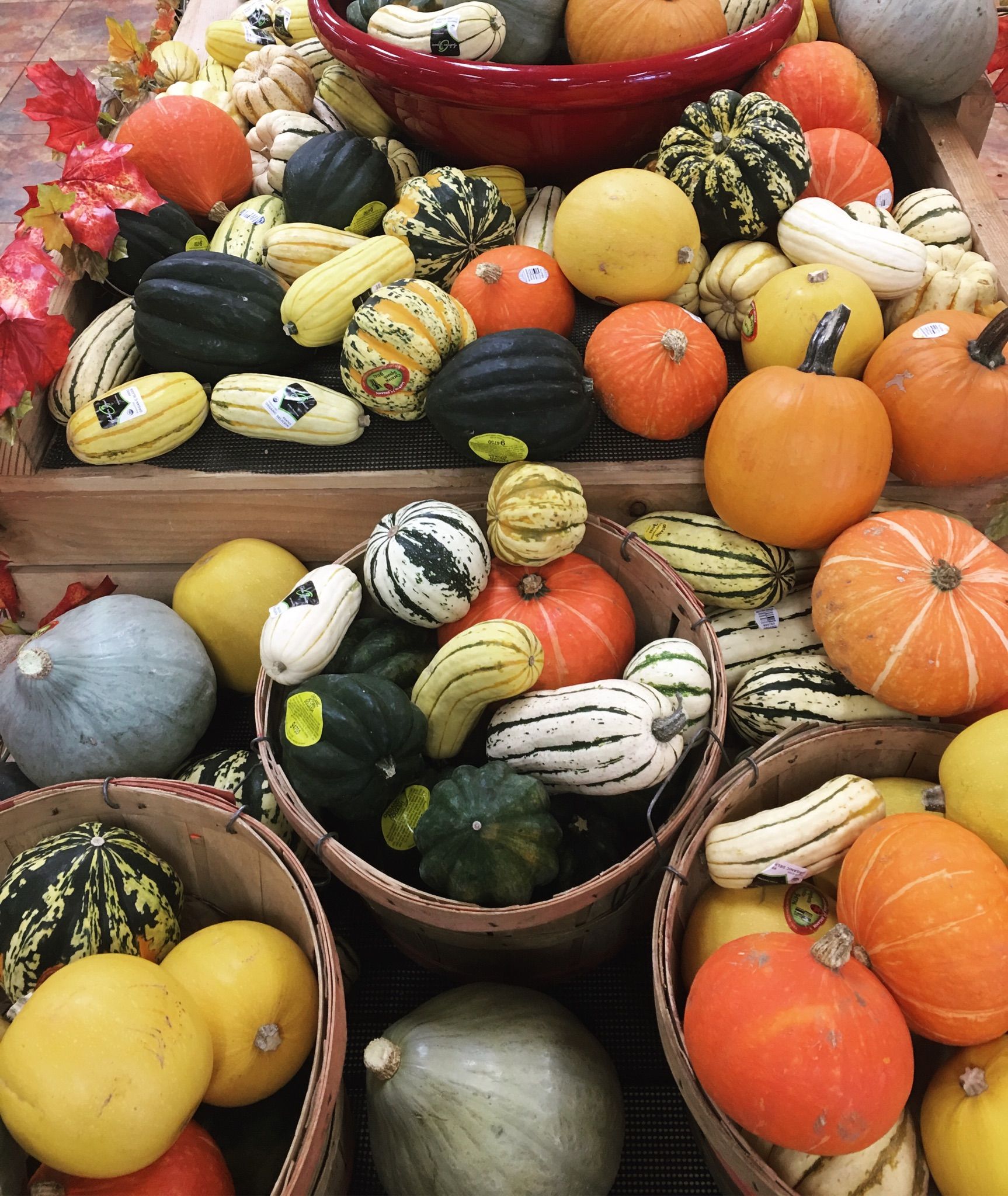 Assorted pumpkins and gourds in various shapes, colors, and sizes displayed in baskets and on shelves.