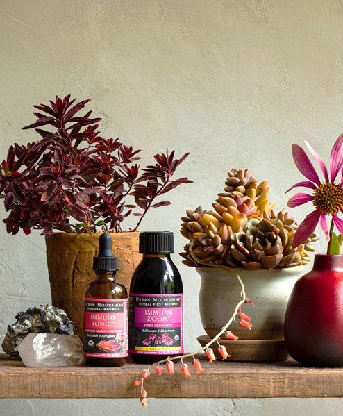 Two bottles of herbal tincture with plants, including succulents and flowers, on a wooden shelf.