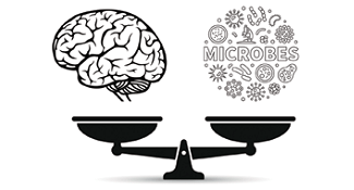 Brain and microbes balanced on a scale, suggesting a comparison or relationship between the two.