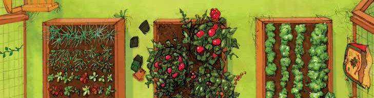 Raised garden beds filled with various crops: herbs, tomatoes, and lettuce.