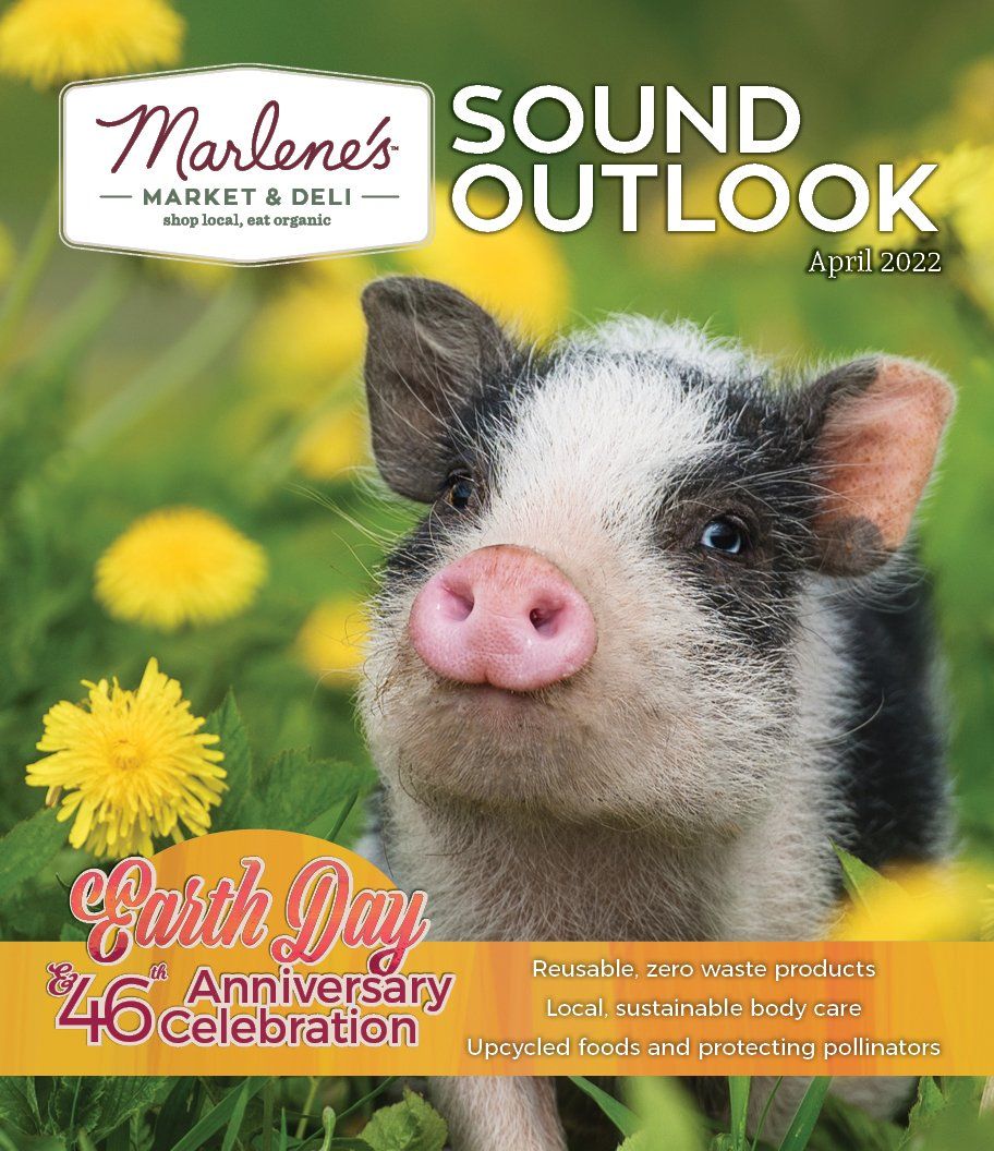 Cover: Piglet in grass; 