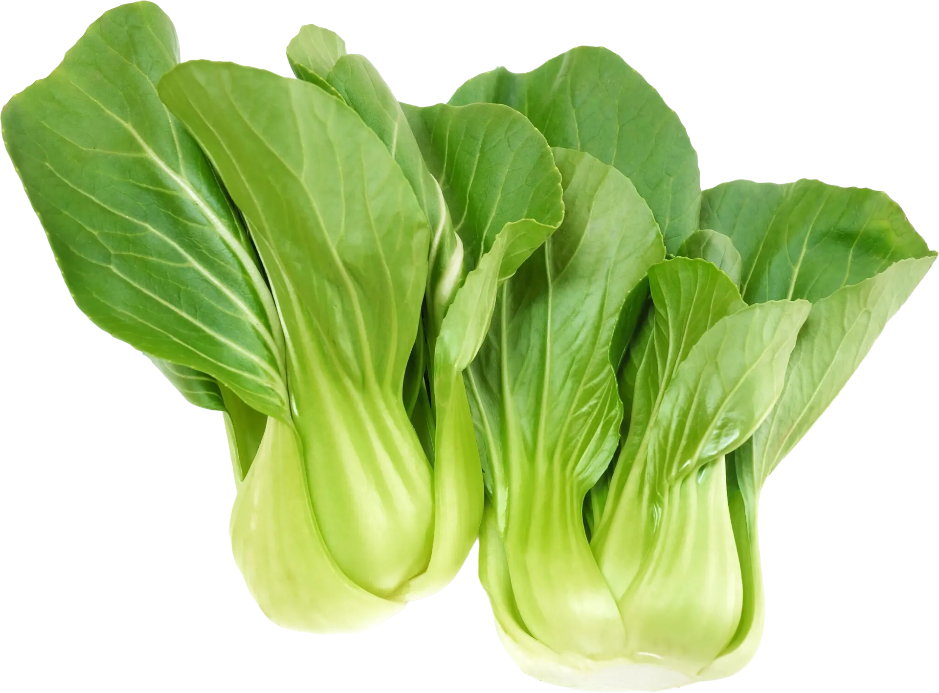 $2.99/lb
