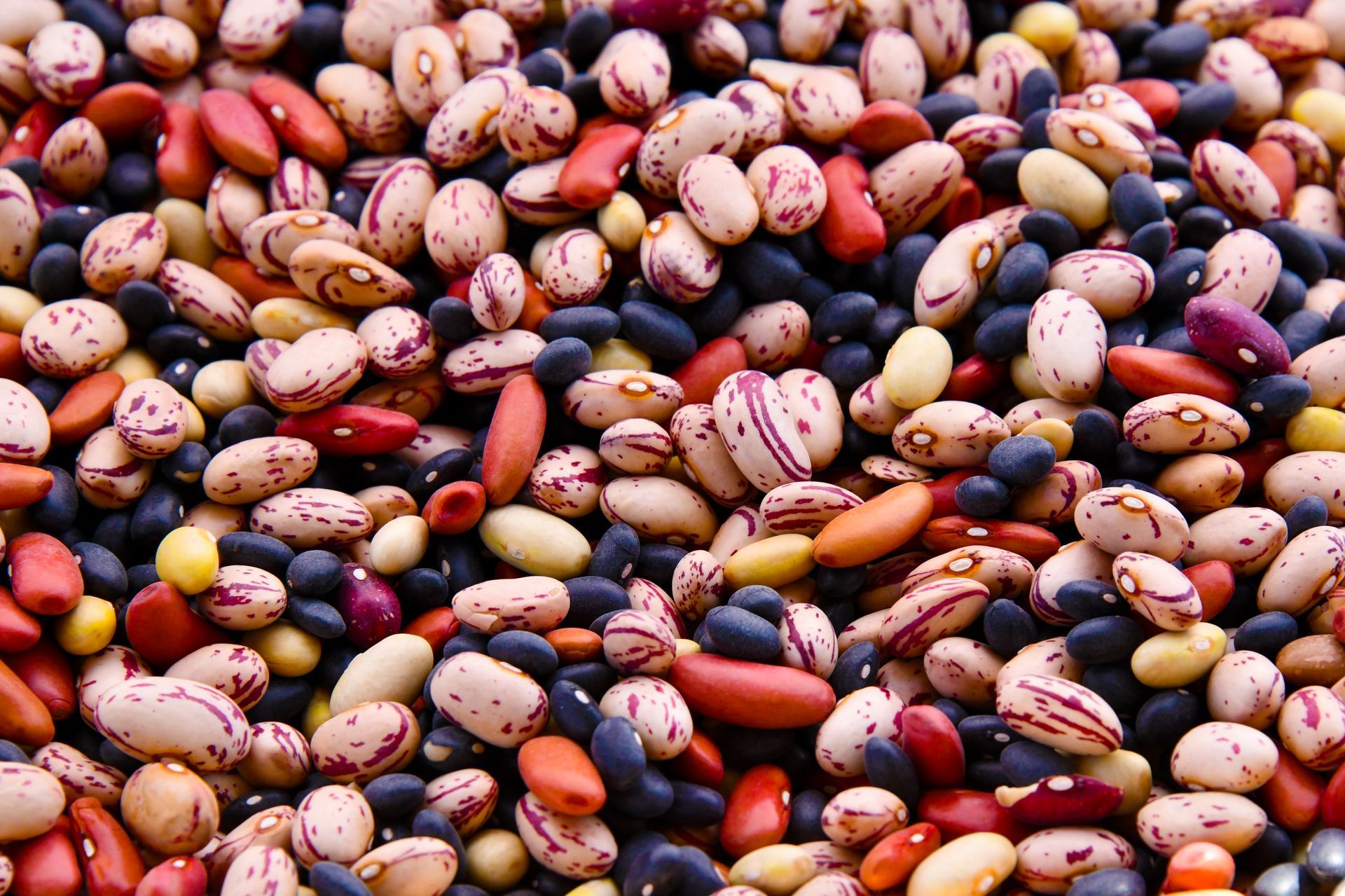 Pile of colorful, dried beans. Varieties include red, black, beige, and speckled, varying in shape and size.