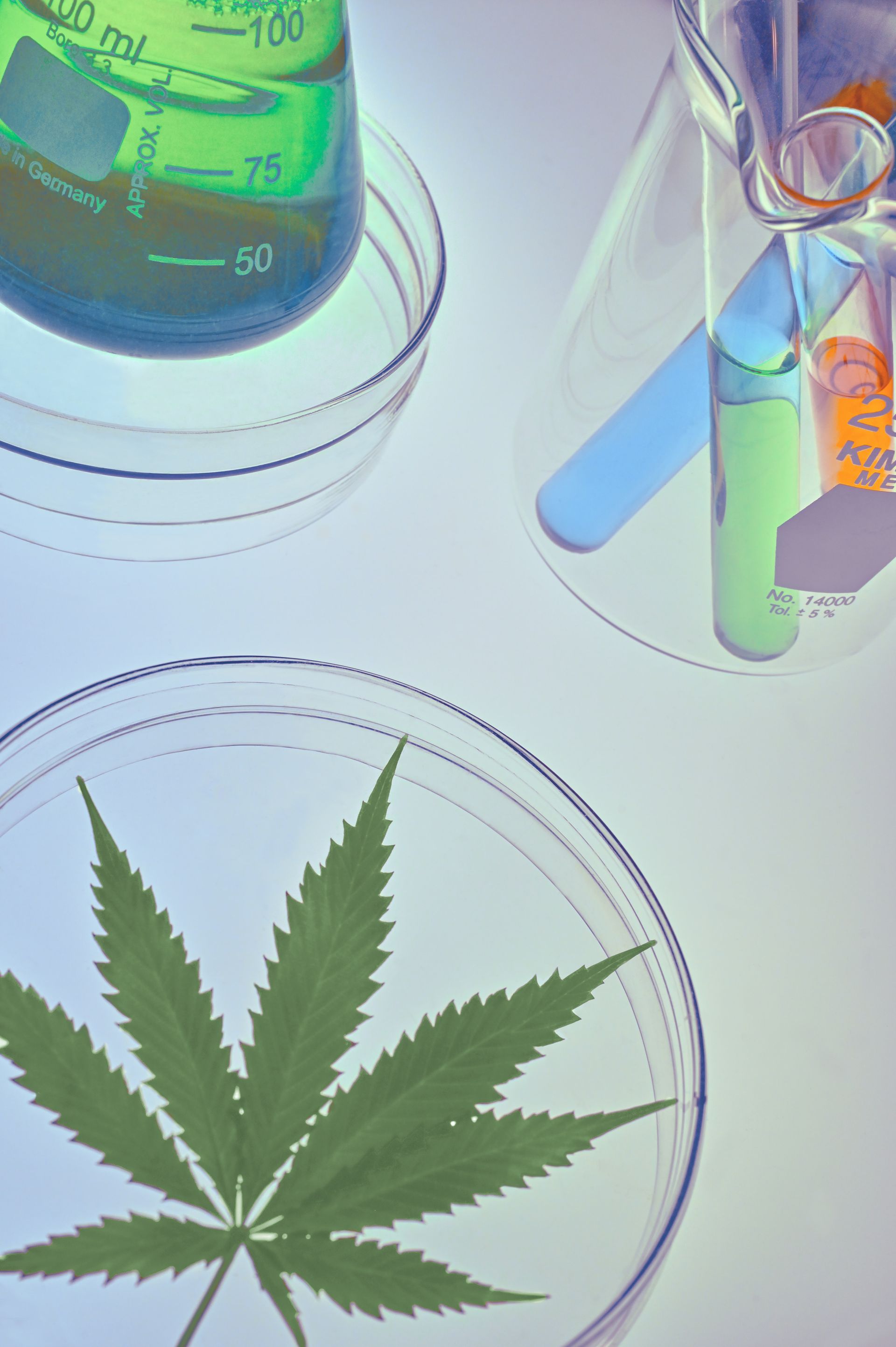 Overhead view of lab equipment including a petri dish with a cannabis leaf, beakers with green liquids, and test tubes.