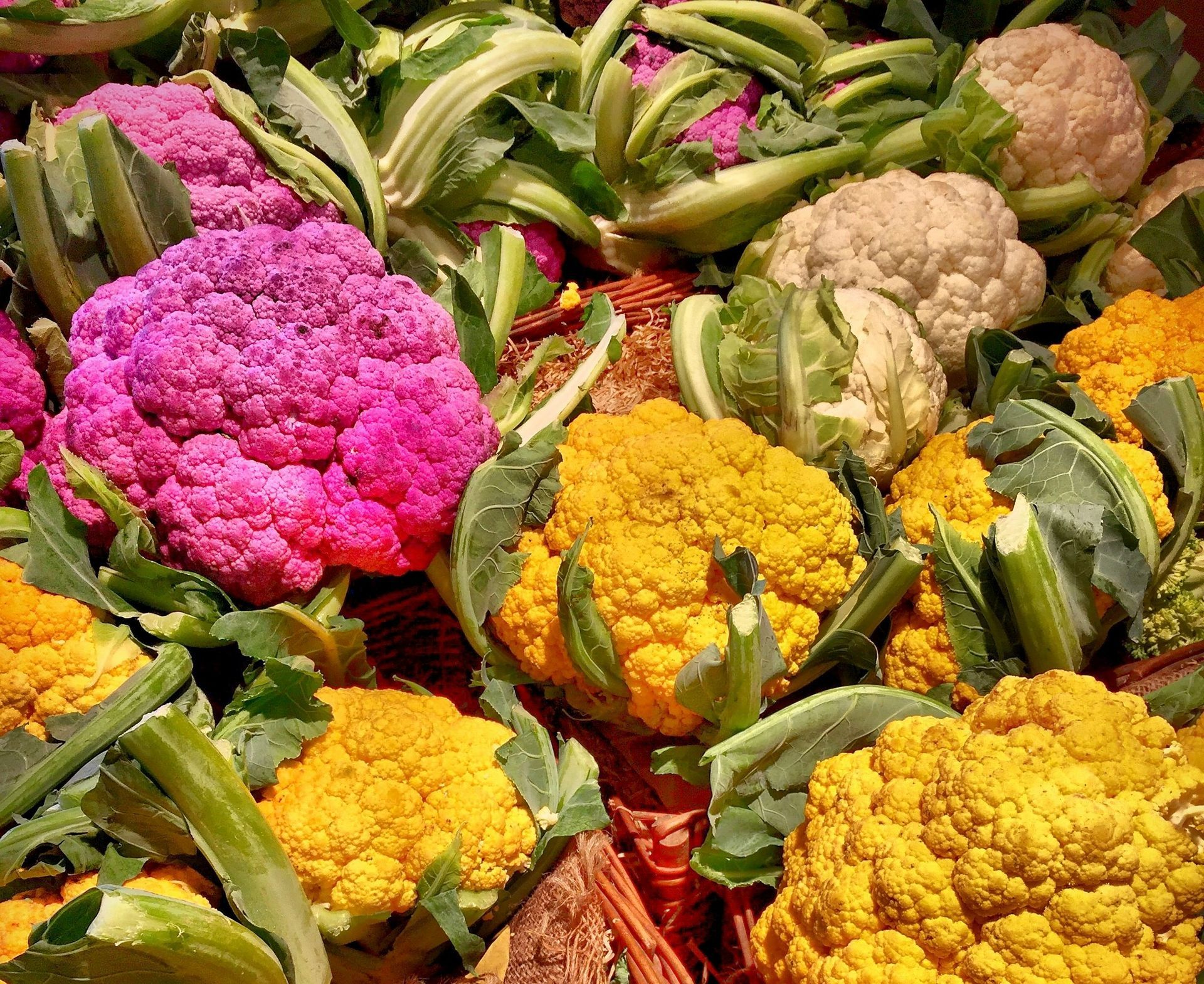 Close-up of colorful cauliflower heads: purple, yellow, and white, with green leaves.