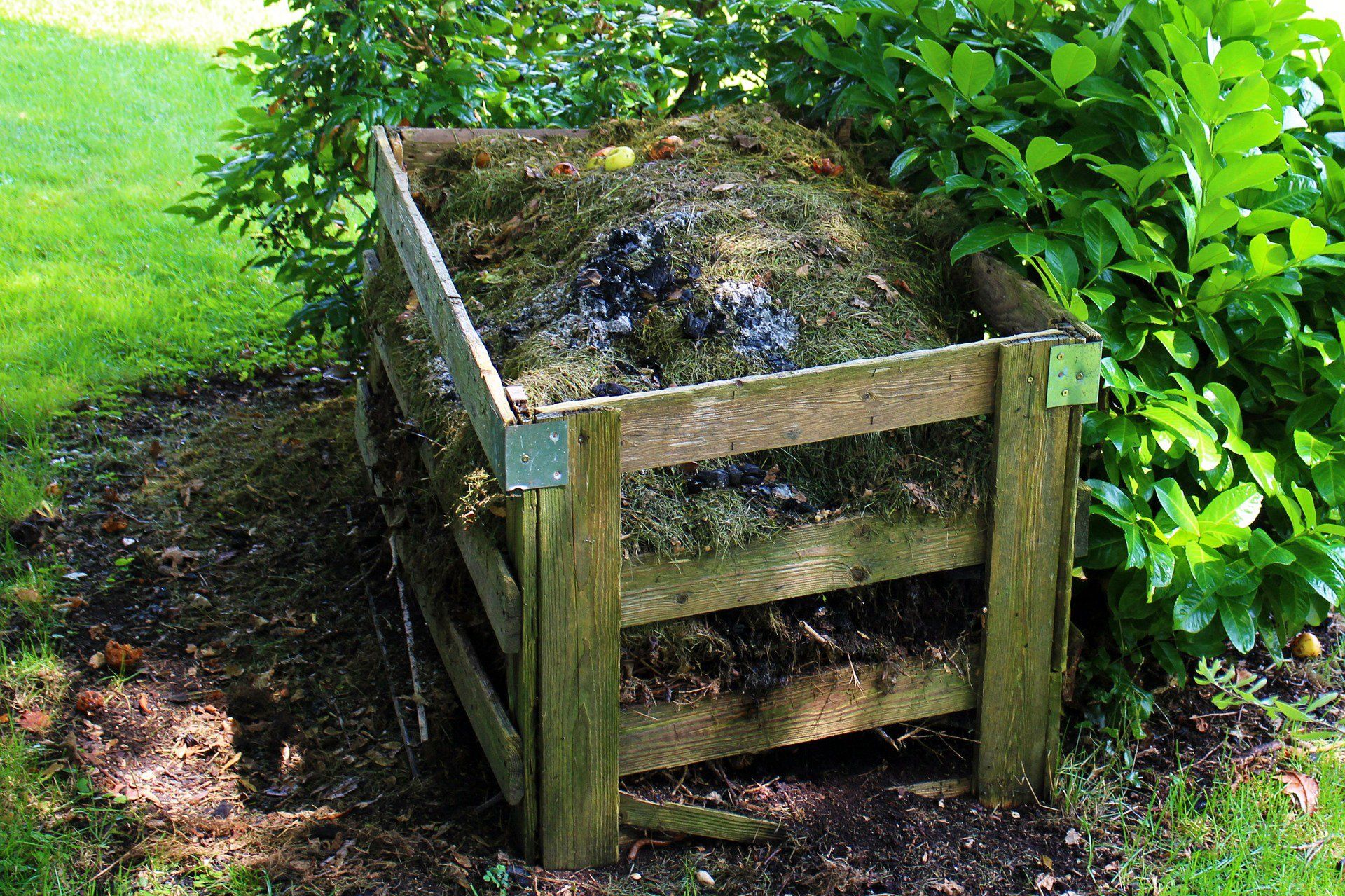 Wooden compost bin in a garden, filled with organic matter, situated beside lush green foliage.