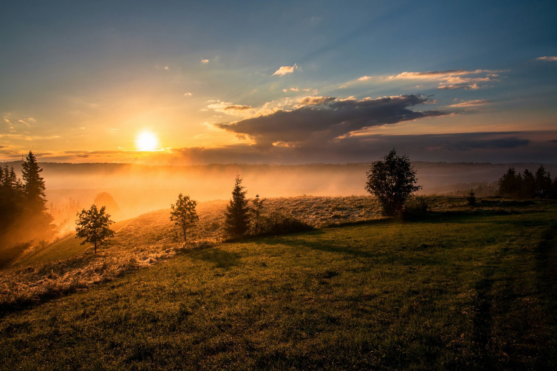 Sunset over a grassy field with trees, hazy mist, and a bright sun. Blue sky with clouds.