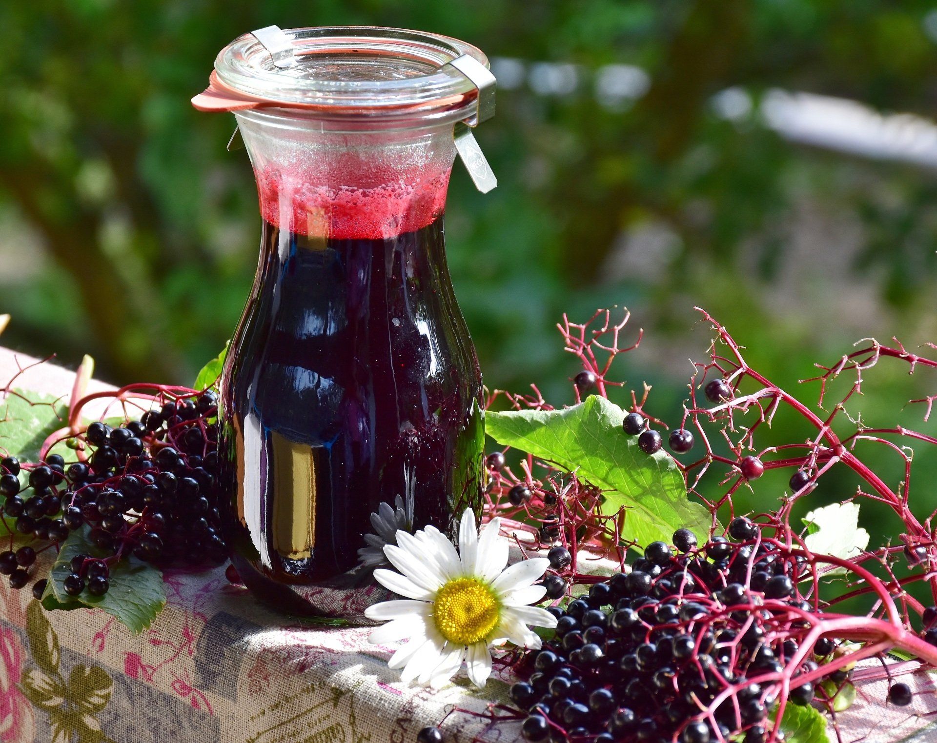 A glass jar filled with dark purple elderberry syrup, surrounded by elderberries and a daisy.