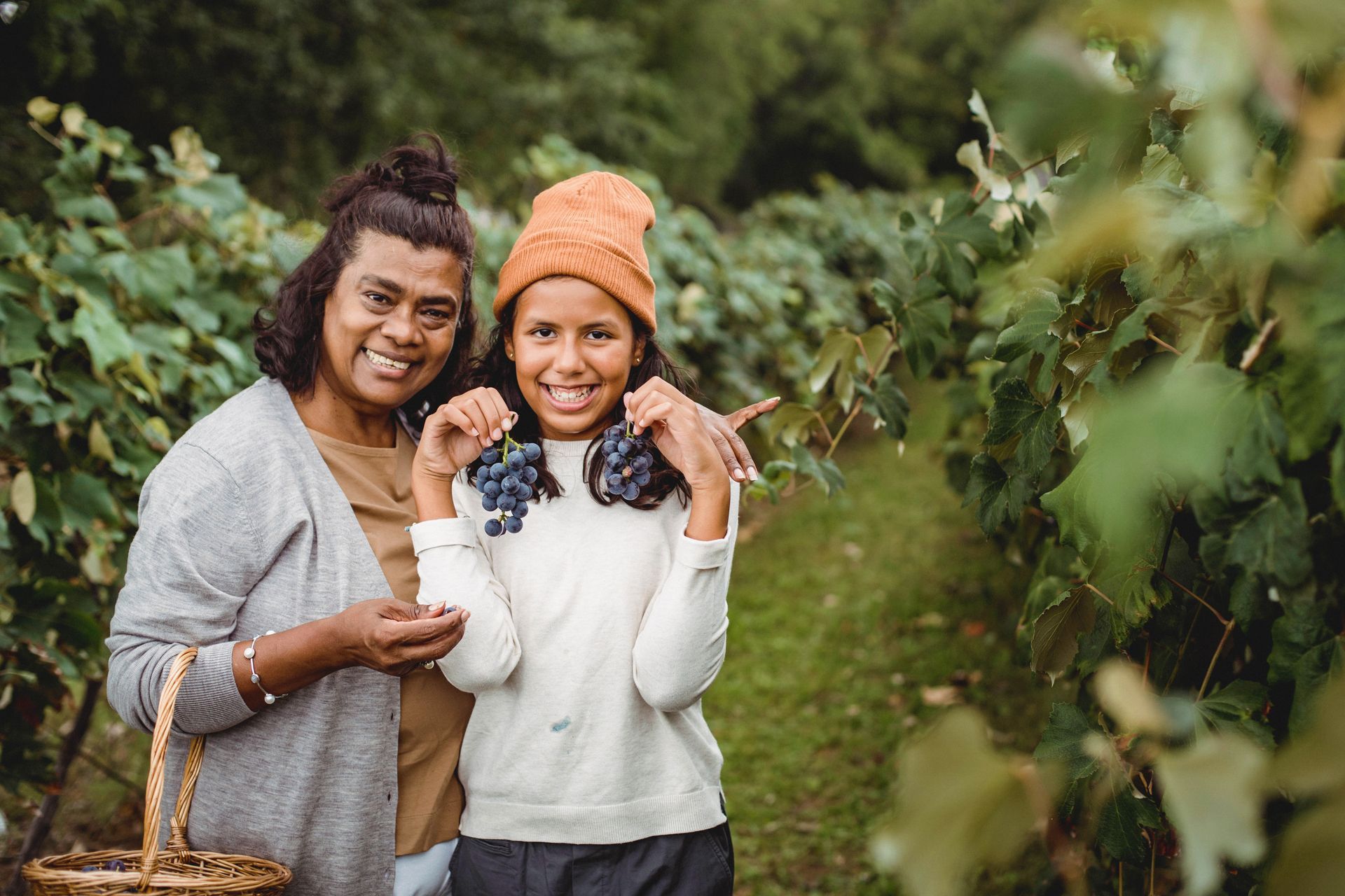 Two smiling women harvesting grapes in a vineyard. One holds a basket, the other grapes. They are surrounded by green vines.