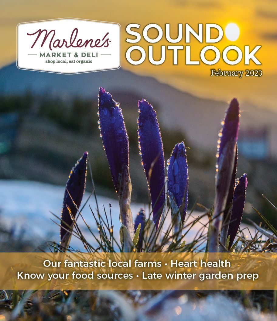 Marlene's Market & Deli newsletter cover: purple flowers with sunset background. Headline: Sound Outlook.