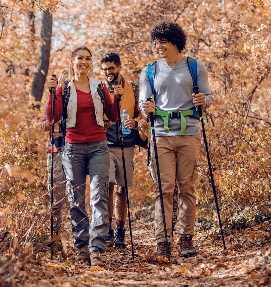 Four people hike through a forest in autumn. They hold trekking poles and smile.