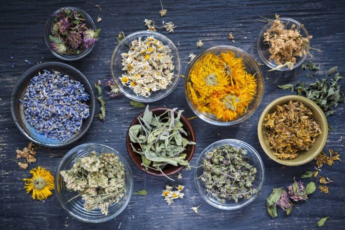 Bowls of dried herbs, including lavender, chamomile, and calendula, arranged on a dark blue wooden surface.